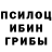 Галлюциногенные грибы Psilocybine cubensis Young Bully