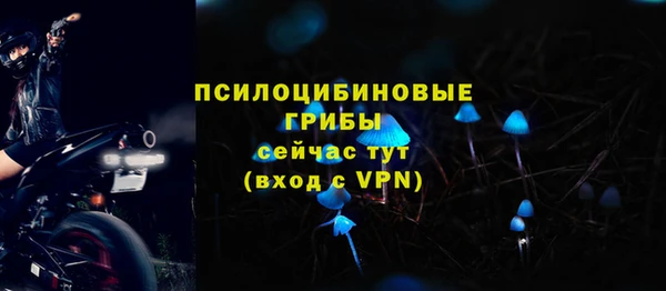 гидра Баксан