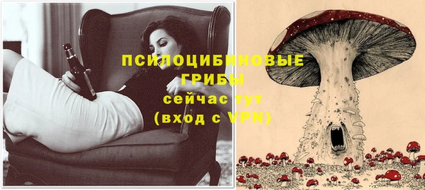 гидра Баксан