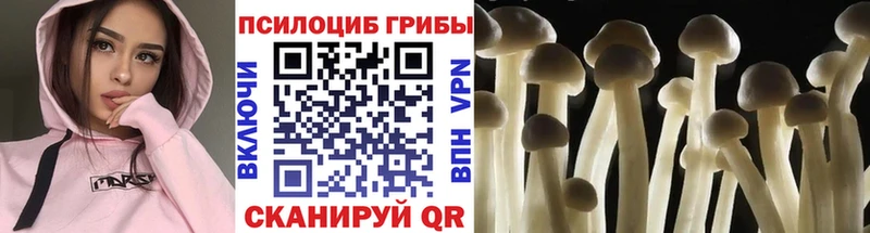 Галлюциногенные грибы мухоморы  купить наркоту  Чердынь 